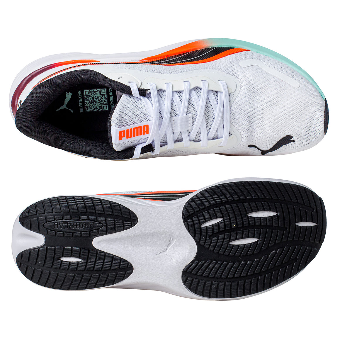 Pounce Lite