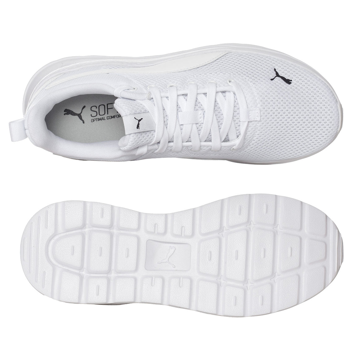 Anzarun Lite Jr