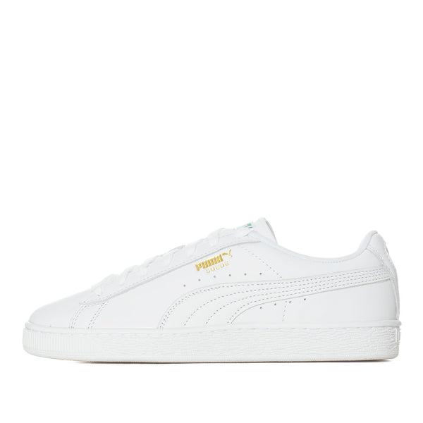 Suede Jr