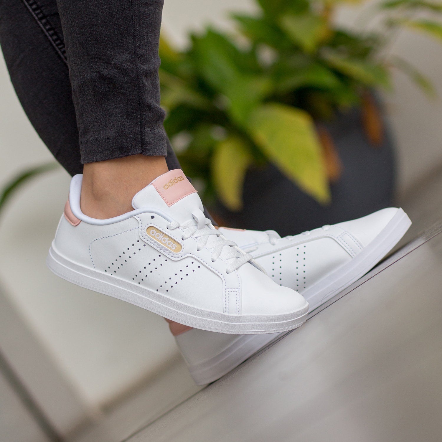 Adidas chinatown point mujer online